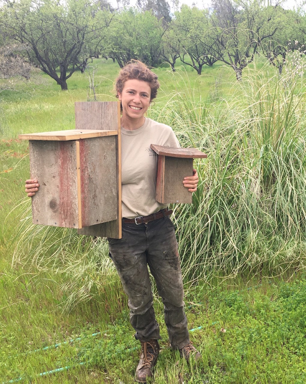 Bobcat Ranch Restoration Work