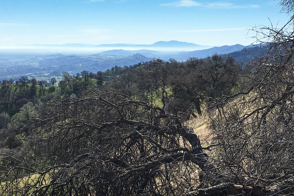 View from Bobcat Ranch (Frank Fogarty)