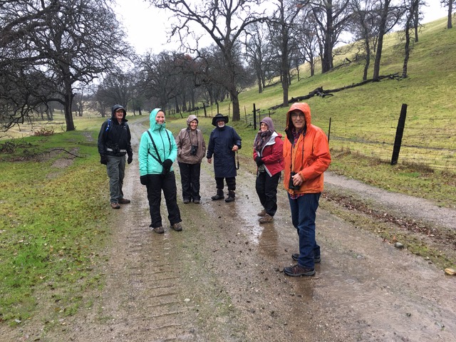 Field Trip Report: Bobcat Ranch