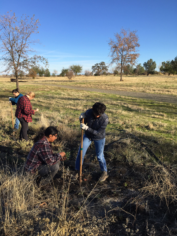 Volunteers at Capay Open Space Park; photo Tanya Meyer