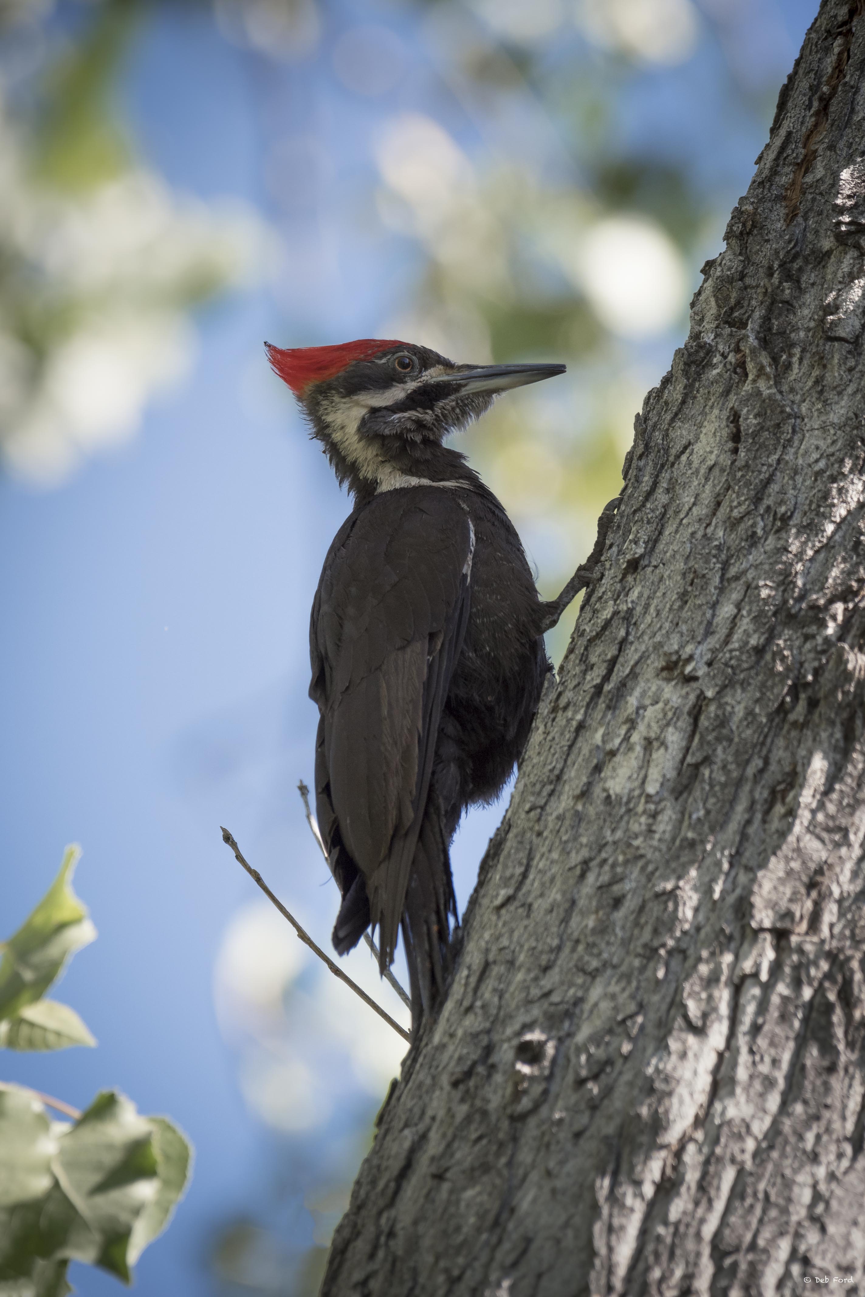 Past Events from June 24, 2017 – January 14, 2017 – Page 9