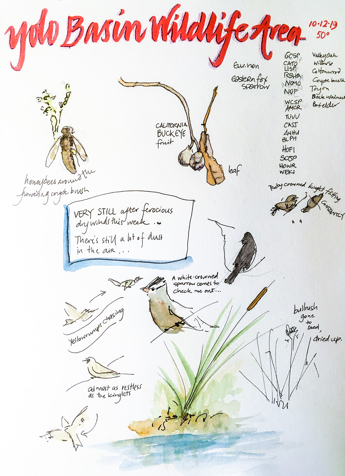 Sketch © Alison Kent