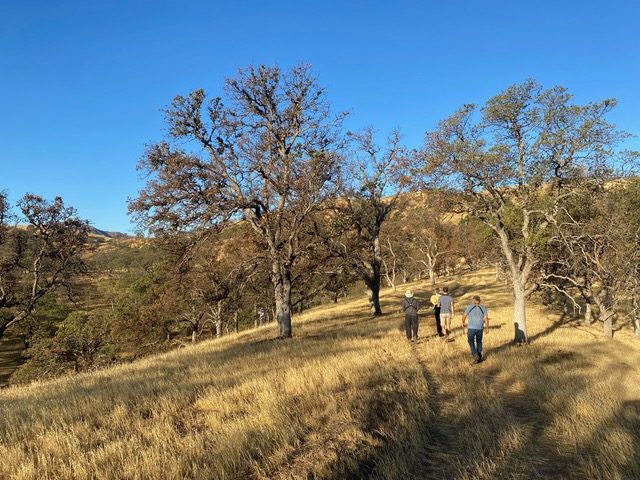 Bobcat Ranch; © Stan Hunter