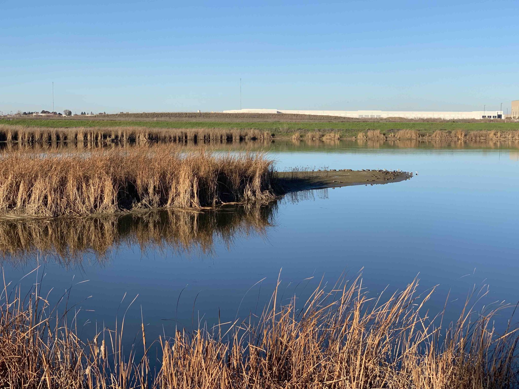 Bridgeway Island Pond meets Industrial Development