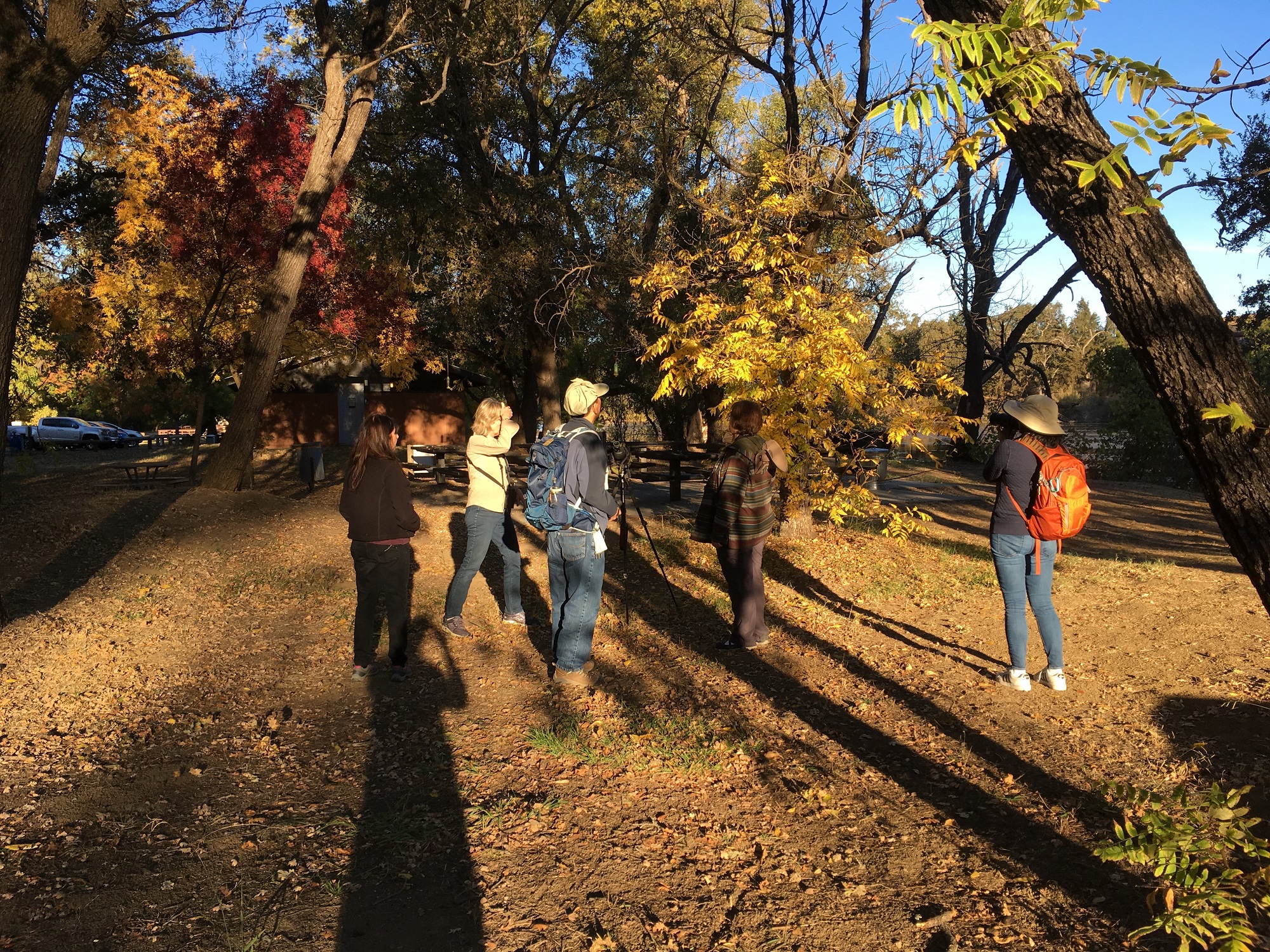 Field Trip Report: Lake Solano, Nov 3 2018